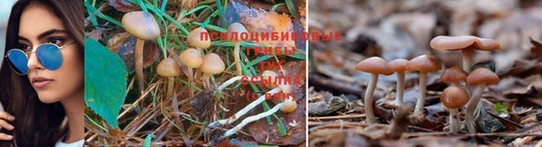 spice Белоозёрский