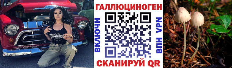 купить наркотик Сковородино Псилоцибиновые грибы Cubensis